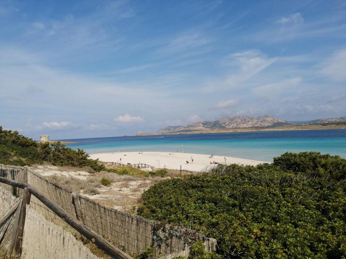 Appartamenti Falcone Stintino Bagian luar foto